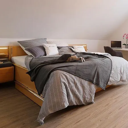 Ferienhaus-daeschinger-zweiradparadies Appartement Mastershausen