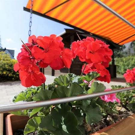 Ferienhaus-daeschinger-zweiradparadies Appartement *